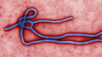 DR Congo Declares Measles Outbreak Over