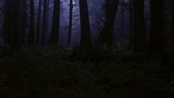 The hunting guide