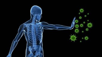 Your immune system