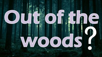 Out of the Woods?
