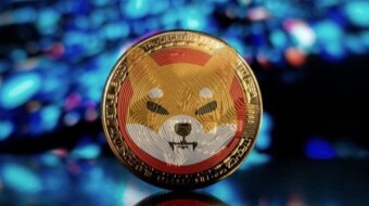 SHIBA INU could have made you a millionaire