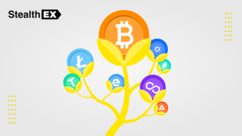 What Is Cryptocurrency Investing For Dummies? Basic Concepts