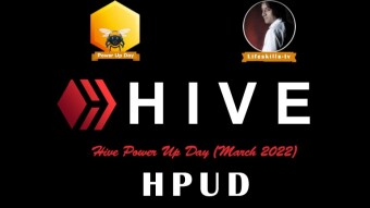 My First Hive Power Up Day