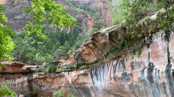 Zion National Park - UT, USA