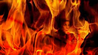 Crypto on Capital Hill: With the SEC Move Senator Warren Smells Blood in the Water and like a Shark has Started to Circle