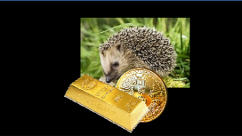 The Carney Factor in Crypto coming your way now... time to Hedge?