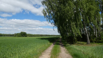 As usual on Friday, a walk, bike ride and a beer