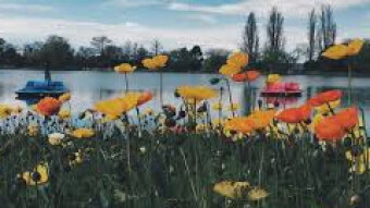 A little about my country, Ukraine