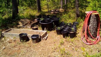 Apocalyptic Homesteading (Day 173-176)