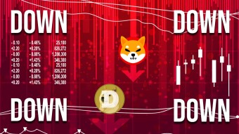 Shiba Inu and Dogecoin just keep falling