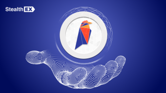 Ravencoin Price Prediction: Is Ravencoin A Good Investment?