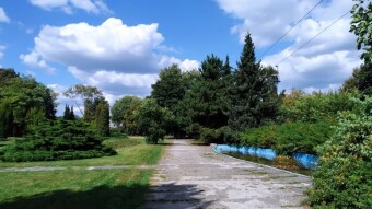 Tuesday and still a lot of work, but I will always find time for a walk - My Actifit Report Card: September 2 2025
