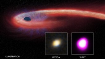 Black Hole sucks in a star like spaghetti