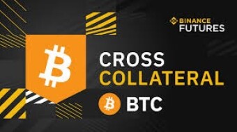 Bitcoin And It's Cryptocurrency Competitors On The Rise After 24 Hours Of Decline