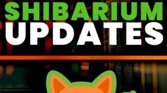 ¿Por qué la actualización del Bridge Shibarium es crucial para Shiba Inu?