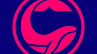 WhaleStreet - Traders Unite