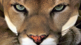 Bitcoin and Finance Charts To Start Week - 4/14