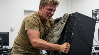 The Boy Who Crikey'd Wolf #3 - Learn how to use the ChangeNow.io exchange effortlessly!