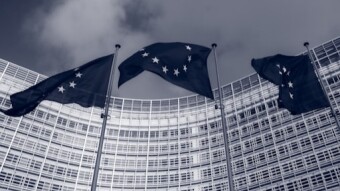 The EU and the AI
