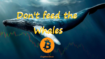Don't feed the Whales