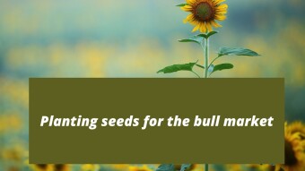 Planting seeds for the bull market