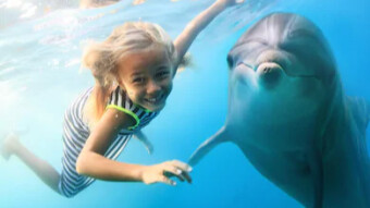 Prose "I have become a dolphin"