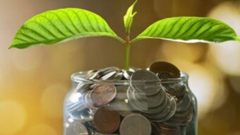 Before Financial Freedom: Avoid these five costly mistakes!