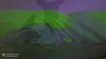 Creative Shadows Photo Contest