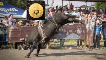 Bitcoin on Bull Ride situations