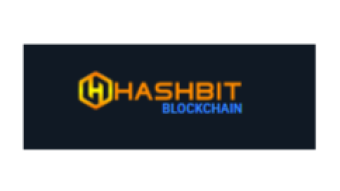 HBIT- CPU coin mineable from your browser