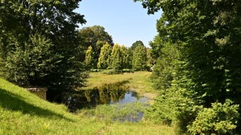 Autumn has sprung, and it's only August -- My Actifit Report Card: August 23, 2025