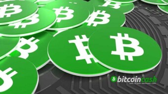 My walk with BCH and what I see in it