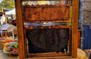 Honey Festival