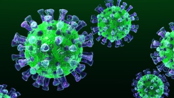 Coronavirus - Apathy or Panic