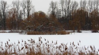The return of a mild winter with lots of fresh white powder - My Actifit Report Card: January 14 2024