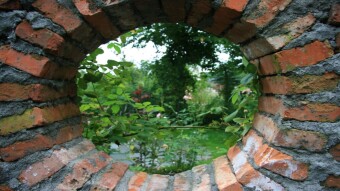 Nurture Qua Nature