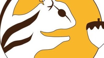 Nutbox - Build You Own Staking Economy