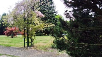 Continuation of the cool spring, but green and beautiful - My Actifit Report Card: May 10 2025