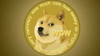 Altcoins dumping in bitcoin’s wake – except DOGE and here’s why