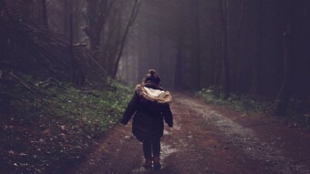 A walk in the woods