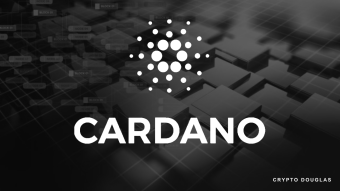 Cardano climbed 20% when BTC,ETH fell 20%.