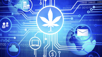 cannabis & blockchain