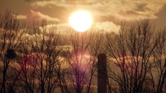 Positive Monday - My Actifit Report Card: February 9, 2026