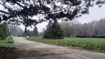 Wednesday was rainy and humid and smelled like spring :) - My Actifit Report Card: April 15, 2026