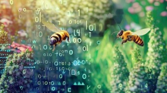 Honeygain Review 2023: How I Earned a Free $900 Effortlessly!