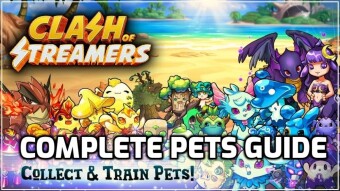Clash Of Streamers | Complete Pets Guide !
