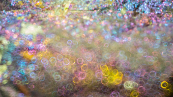 Abstract photos using very shallow depth of field