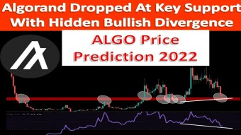 Algorand Dropped At Key Support With Hidden Bullish Divergence | ALGO Price Prediction 2022