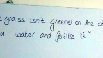 Greener Grass