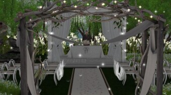 Second Life Weddings. What?